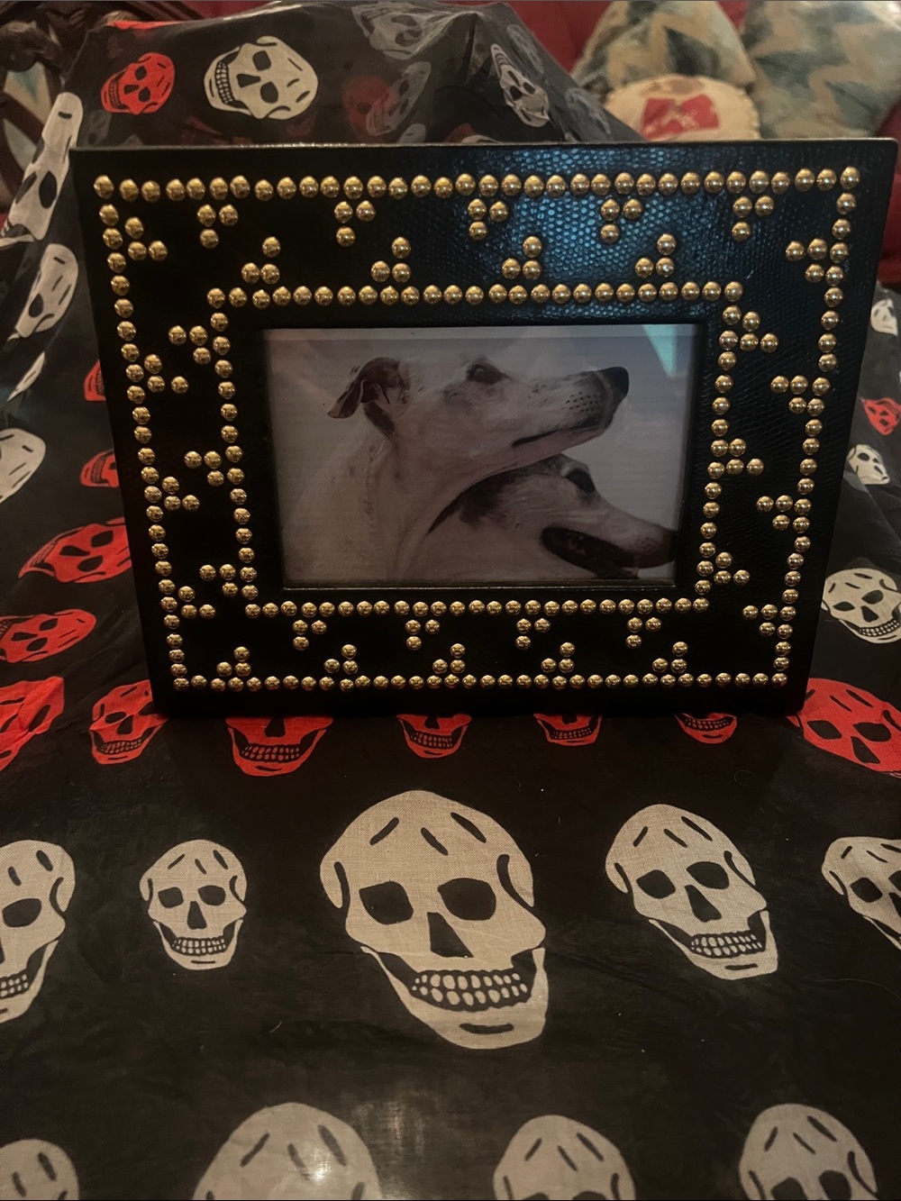 NEW Twos Company Black Studded Photo Frame with Gold Accents